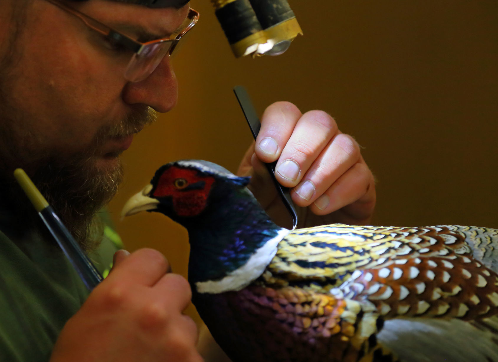 2019 World Taxidermy & Fish Carving Championships in Springfield, Mo.